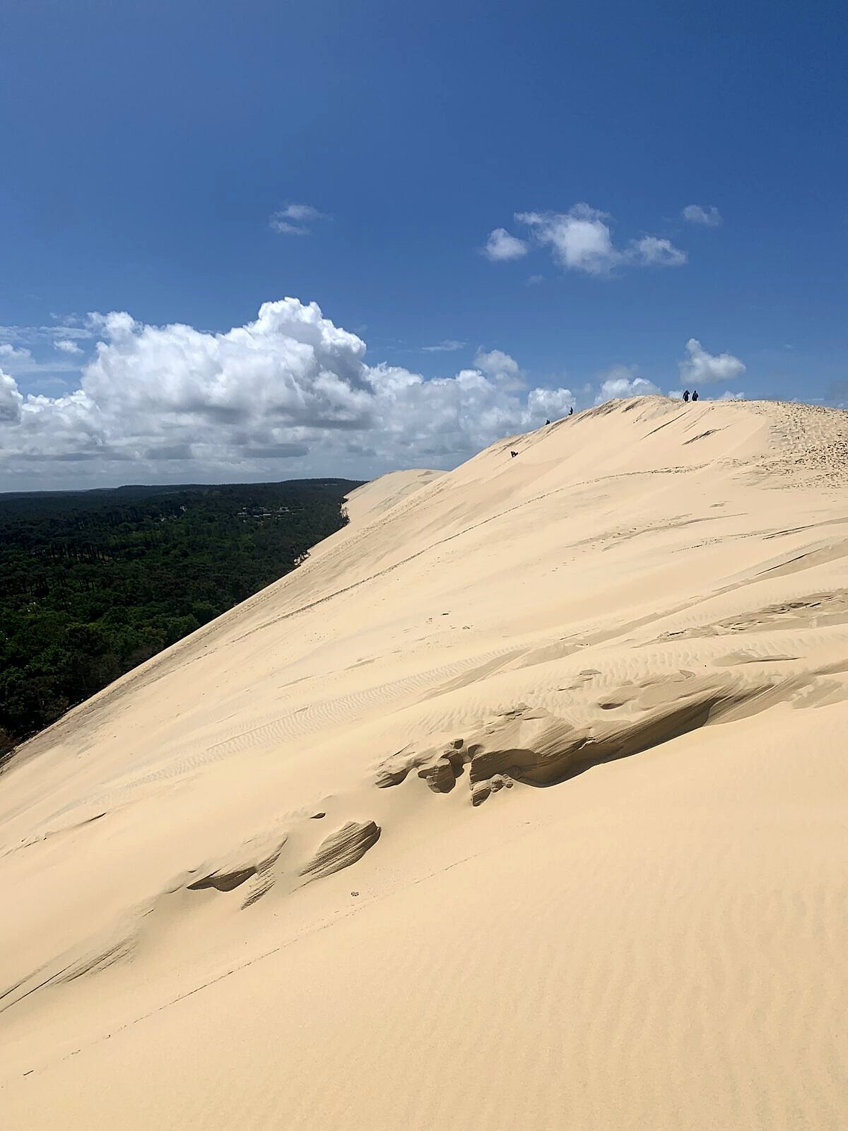 Steile Sand-Schräge der Dune du Pilat, links der Pinienwald, kleine Silhouetten oben am Grat
