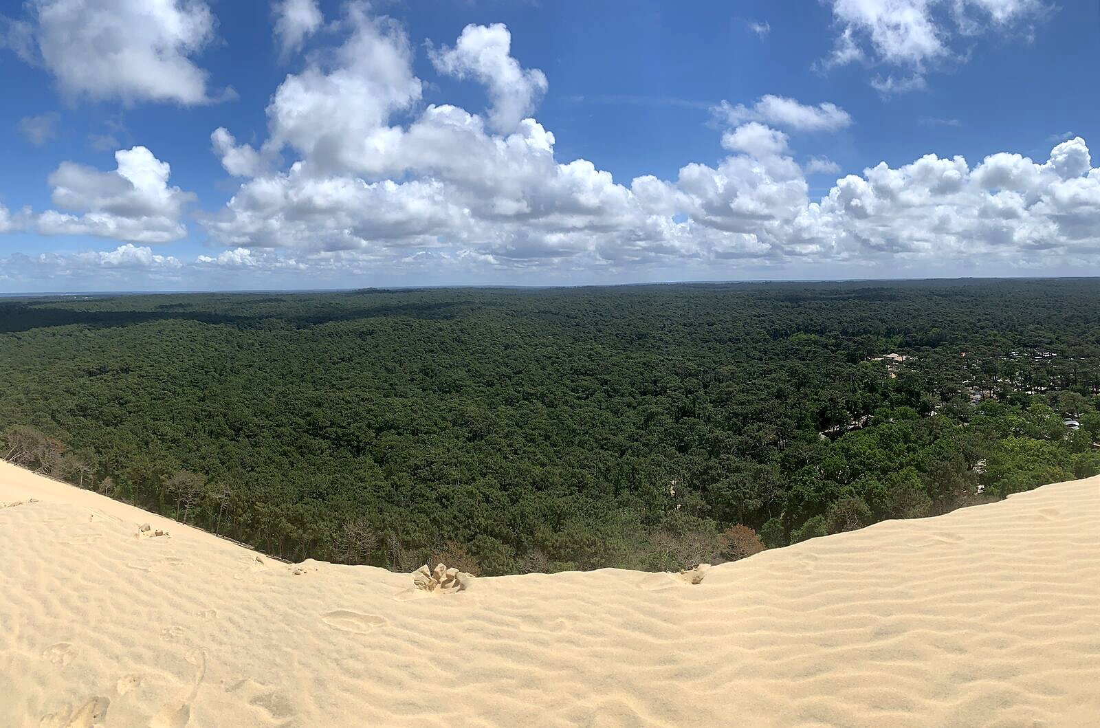 Blick von der Dune du Pilat nach Osten über die endlosen Pinienwälder des Médoc